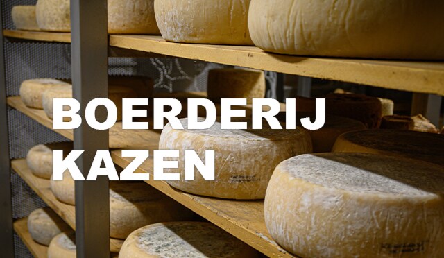 Boerderijkazen